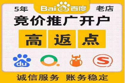 百度推广公司案例解析：如何利用大数据优化营销策略